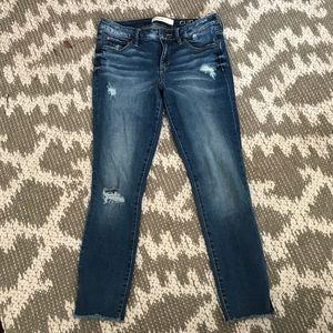 Slink Jeans Curvy